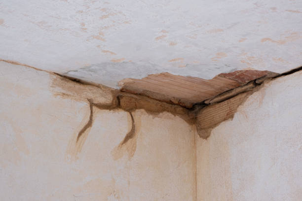 Best Water damage restoration near me  in Eagle Pass, TX