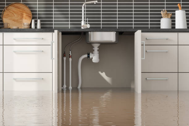 Best Basement water damage restoration  in Eagle Pass, TX