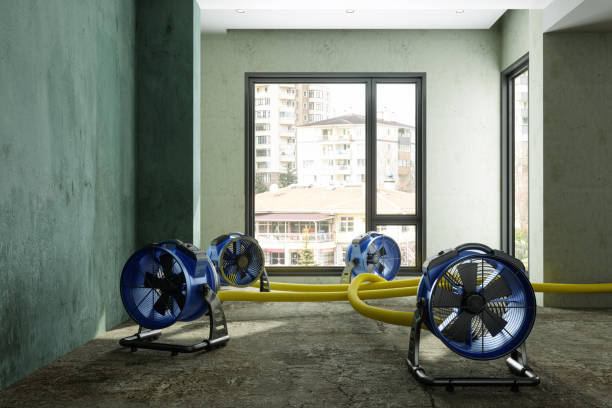 Best Water damage restoration near me  in Eagle Pass, TX